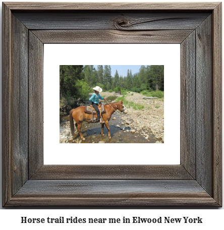 horse trail rides near me in Elwood, New York